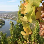 Konukevi Weingut Markus Junglen Kröv