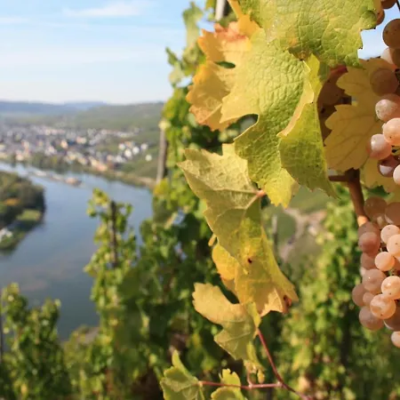 Гостевой дом Weingut Markus Junglen Креф