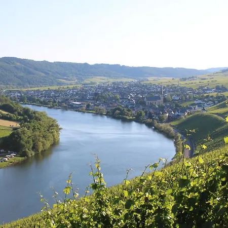 Vendégház Weingut Markus Junglen
