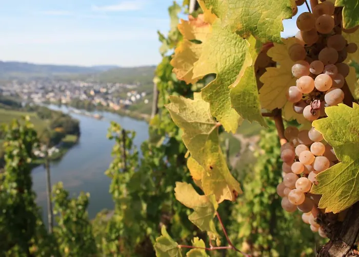 Guest house Weingut Markus Junglen Krov