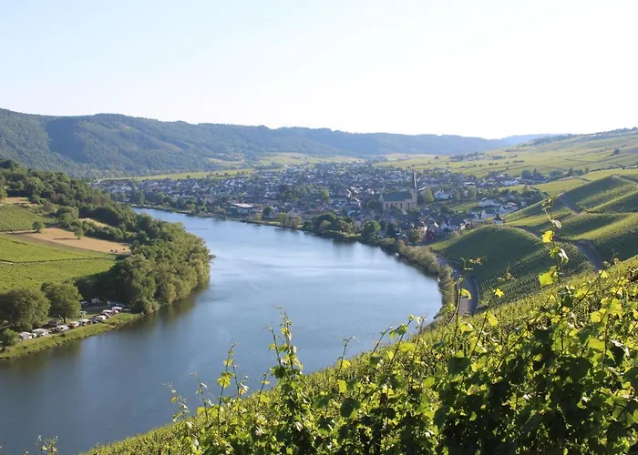 Pensionat Weingut Markus Junglen